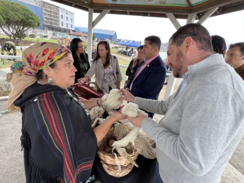 Comité Técnico de Cruceros del Biobío presenta experiencia turística mapuche en Talcahuano