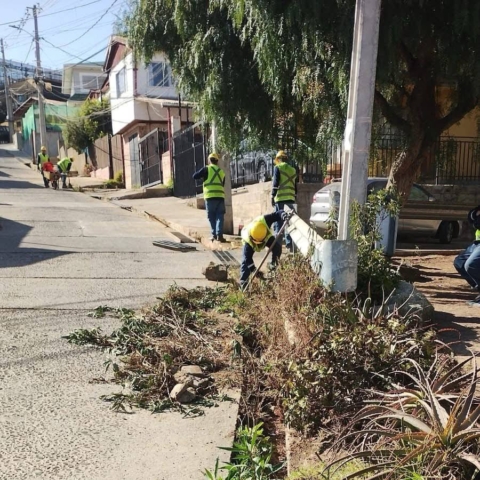 Viña del Mar avanza con ejecución de obras del Plan Invierno 2025