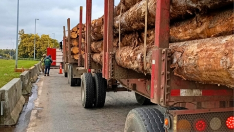 CONAF Biobío refuerza controles carreteros para combatir la sustracción de madera