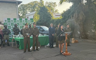 Allanan 13 domicilios y detienen a 13 integrantes de banda criminal familiar