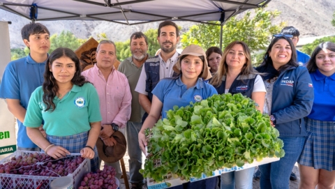Mercado Campesino de Alto del Carmen abre espacio para que escolares vendan sus frutas y hortalizas