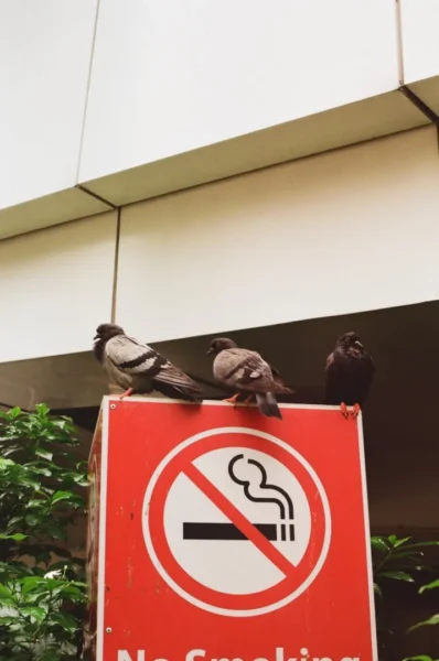 10 años de UC Libre de Humo