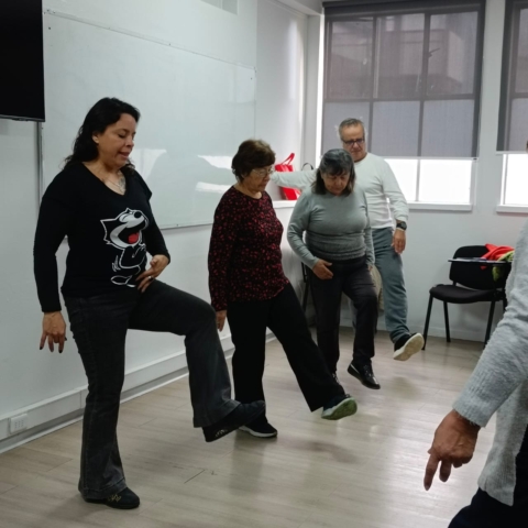 Unas 400 personas mayores de la región de Valparaíso son beneficiadas con los cursos de la UVM