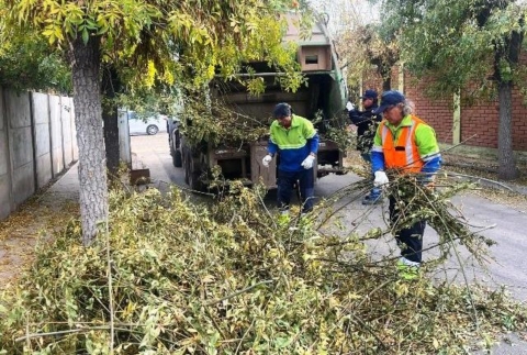 Los Andes continúa operativos semanales de retiro de residuos vegetales