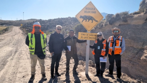 Instalan señalética para proteger a la fauna nativa de Arica y Parinacota