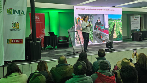 Capacitan a emprendedores de La Araucanía para mejorar su competitividad en la producción de berries Capacitan a emprendedores de La Araucanía para mejorar su competitividad en la producción de berries