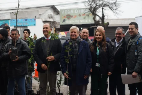 Municipalidad y UCM inician reforestación del caso histórico de Curicó