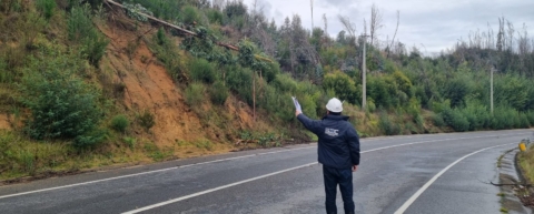 SEC formula cargos a empresas del Biobío y La Araucanía por demoras en reposición de la luz