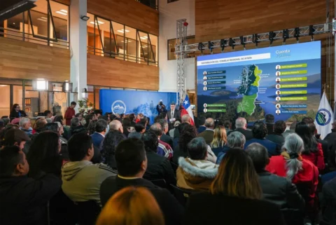 ''Propondré al CORE suspender y terminar todos aquellos programas que no estén cumpliendo con sus objetivos''
