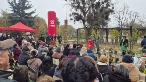 Talca conmemoró el Día Mundial del Medio Ambiente con la plantación de 50 árboles en el Parque Piduco