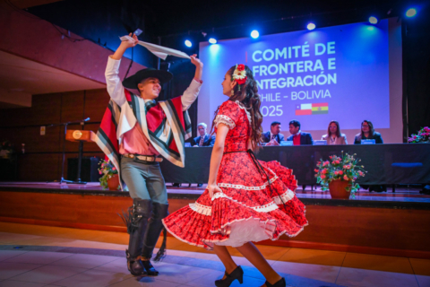 Efectúan nuevo Comité de Integración Fronterizo Chile–Bolivia