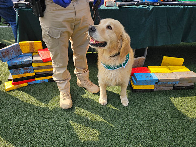 Bolivianos trasladaban droga avaluada en mil millones de pesos