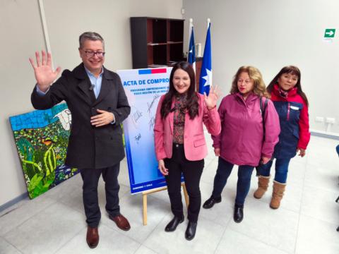 Temuco impulsa programa de apoyo a mujeres cuidadoras Temuco impulsa programa de apoyo a mujeres cuidadoras