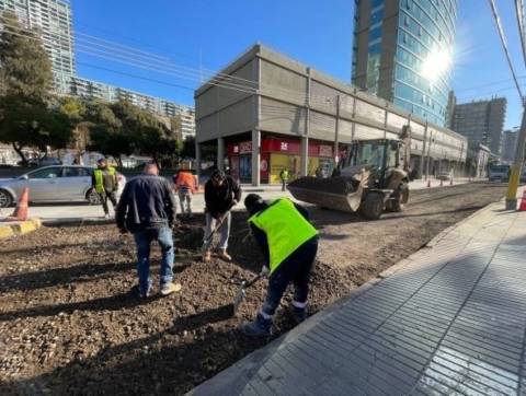 Viña del Mar intensifica plan de bacheos en calles de la ciudad