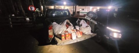 Sernapesca incauta 388 kilos de centolla ilegal en Bahía Mansa y refuerza fiscalización