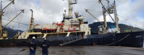 Empresa pesquera deberá pagar más de 300 millones por descarte no autorizado durante faenas de pesca