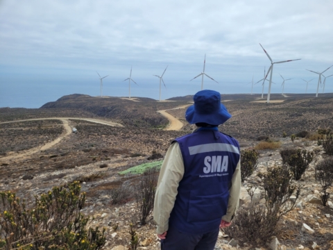 SMA formula cargos contra Parque Eólico Arrayán SMA formula cargos contra Parque Eólico Arrayán