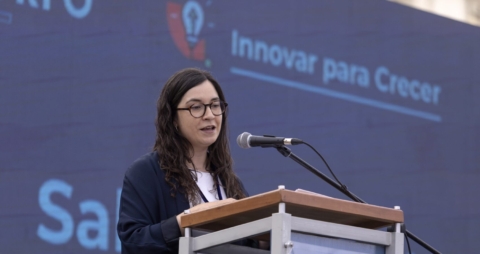 Lanzan plataforma "Chile Emprende" para fortalecer el acceso a programas y subsidios para MiPymes y Cooperativas Lanzan plataforma "Chile Emprende" para fortalecer el acceso a programas y subsidios para MiPymes y Cooperativas