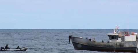 Fiscalización aérea y marítima intercepta pesca ilegal de reineta en costas de Los Ríos