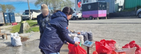Incautan más de 1400 kilos de mariscos en veda en el muelle Pudeto de Ancud Incautan más de 1400 kilos de mariscos en veda en el muelle Pudeto de Ancud