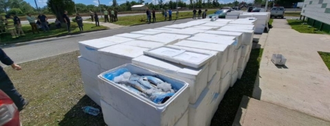 Histórica incautación de recursos del mar en la región de Los Ríos