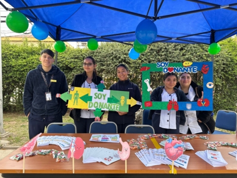 Estudiantes de Salud promueven donación de órganos en San Felipe y Los Andes