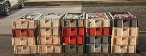 Más de mil kilos de merluza austral ilegal fueron incautados en control carretero en Los Ríos Más de mil kilos de merluza austral ilegal fueron incautados en control carretero en Los Ríos