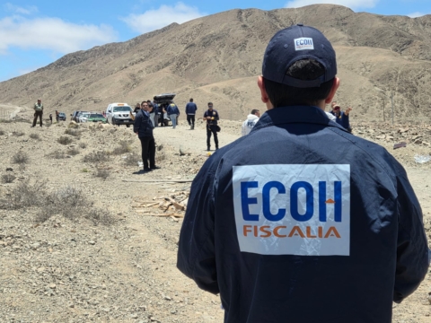 Ciclista muere tras ataque de perros en Copiapó