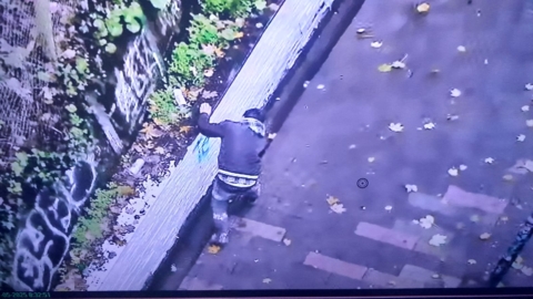 Nueva ordenanza de Aseo y Ornato en Puerto Montt pone énfasis en control de rayados y grafitis