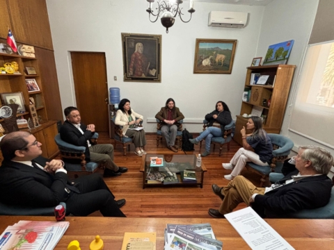 Vecinos de Curicó llaman a no repactar cuentas de luz mientras rige decreto que impide cortes