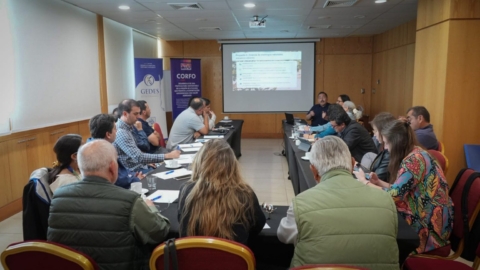 Paralización del System Approach en EE.UU. pone en riesgo exportaciones de uva de Atacama