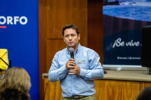 MADE IN MAULE reúne creatividad y proyectos innovadores de la región