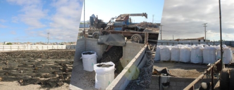 Golpe al procesamiento ilegal de huiro negro en Caldera: incautan casi 20 toneladas