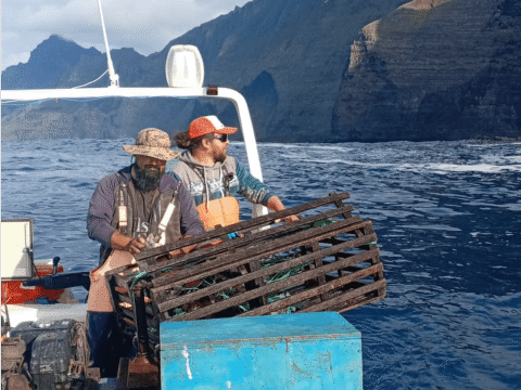 Juan Fernández avanza hacia primera planta procesadora con sistema propio de agua potable
