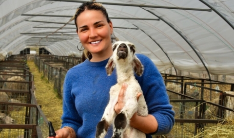 De Uruguay a Magallanes: la historia de las estudiantes charrúas que están salvando ovejas en la Patagonia