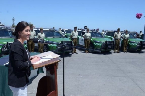 Viña del Mar solicita refuerzo policial para el verano