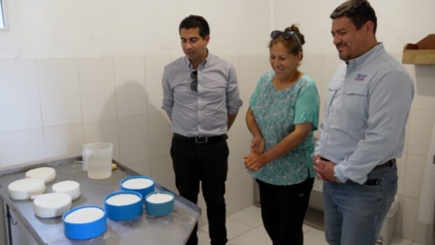 Programa piloto mejora producción caprina en sectores rurales de Ovalle