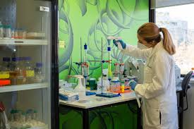 Más de 700 mujeres participaron en ciclo de charlas ''InspiraTEC en Verano 2026'' Más de 700 mujeres participaron en ciclo de charlas ''InspiraTEC en Verano 2026''