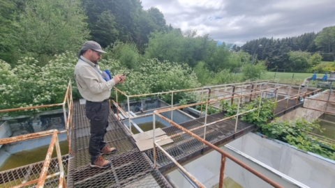 SMA ordena medidas urgentes a la Municipalidad de Palena por vertimiento de aguas servidas sin tratar