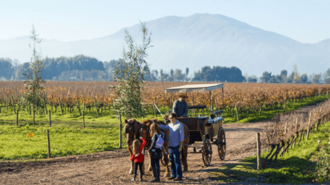 Fiestas de la Vendimia 2026 recorren Chile con más de 40 celebraciones desde febrero hasta mayo