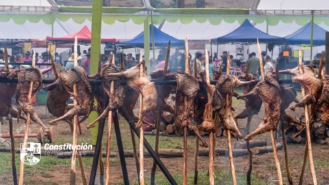 Fiesta Cordero al Faro reunió a público en el sector sur de Constitución