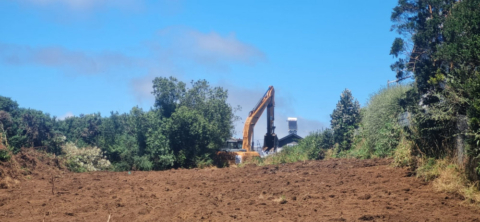 Trabajan en cortafuegos en sector norte de Puerto Varas