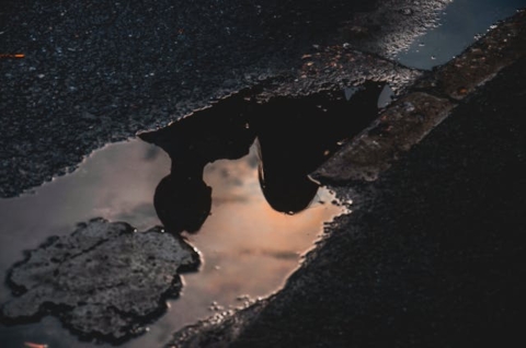 Punta Arenas inicia obras para recuperar vías urbanas deterioradas