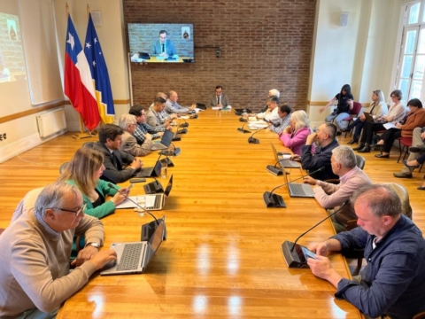 Consejo Regional de Magallanes aprueba diseño de centro de salud en Primavera y recursos para sede deportiva y viviendas en Natales