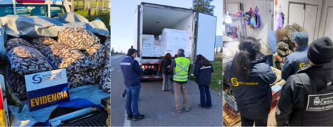 Fiscalizaciones por Semana Santa detectan más de 84 toneladas de productos del mar ilegales