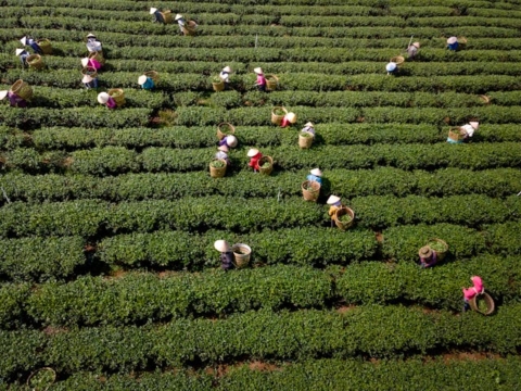 SNA advierte alza de costos en el agro y propone medidas para contener impacto