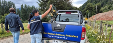 Sernapesca intensifica fiscalización en Aysén y retira 70 metros de redes en cursos de agua