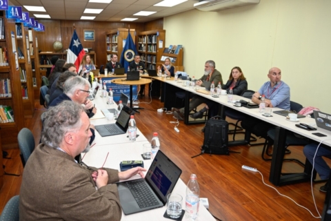 Chile avanzó en coordinación internacional para fortalecer monitoreo oceánico y alertas de tsunami