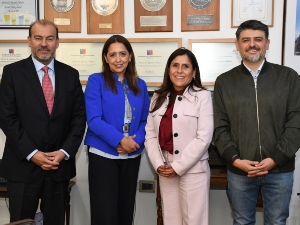 SII y municipio de Estación Central coordinan acciones contra el comercio informal
