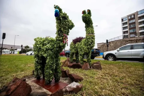 Instalan topiarios en nudo vial de Arica para fortalecer imagen turística